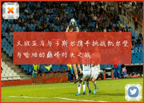 文班亚马与卡斯尔携手挑战凯尔登与哈珀的巅峰对决之战